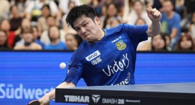 顶级运动员国内年薪80万，出国秒变450万税后，樊振东转会德甲引爆商业价值争议