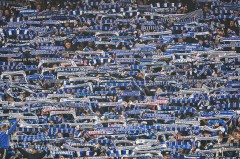 竞彩湃｜弗赖堡主场力拼汉堡，纽卡斯尔冲击四连胜