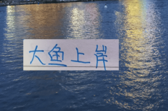 后面中超大鱼！北京国安可能有德甲中后卫 大连英博有意甲中场