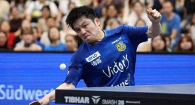 樊振东德甲杀疯了胳膊大腿都是顶配这力量太恐怖，赛场上是绝对的统治者令人叹为观止