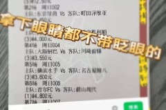 德甲：霍芬海姆VS柏林联合,专家推荐比分预测